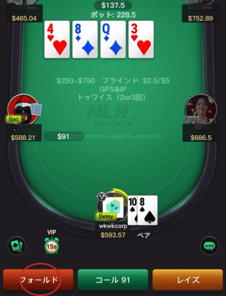 ポーカーゲーム IMG_8229-784x1024.png
